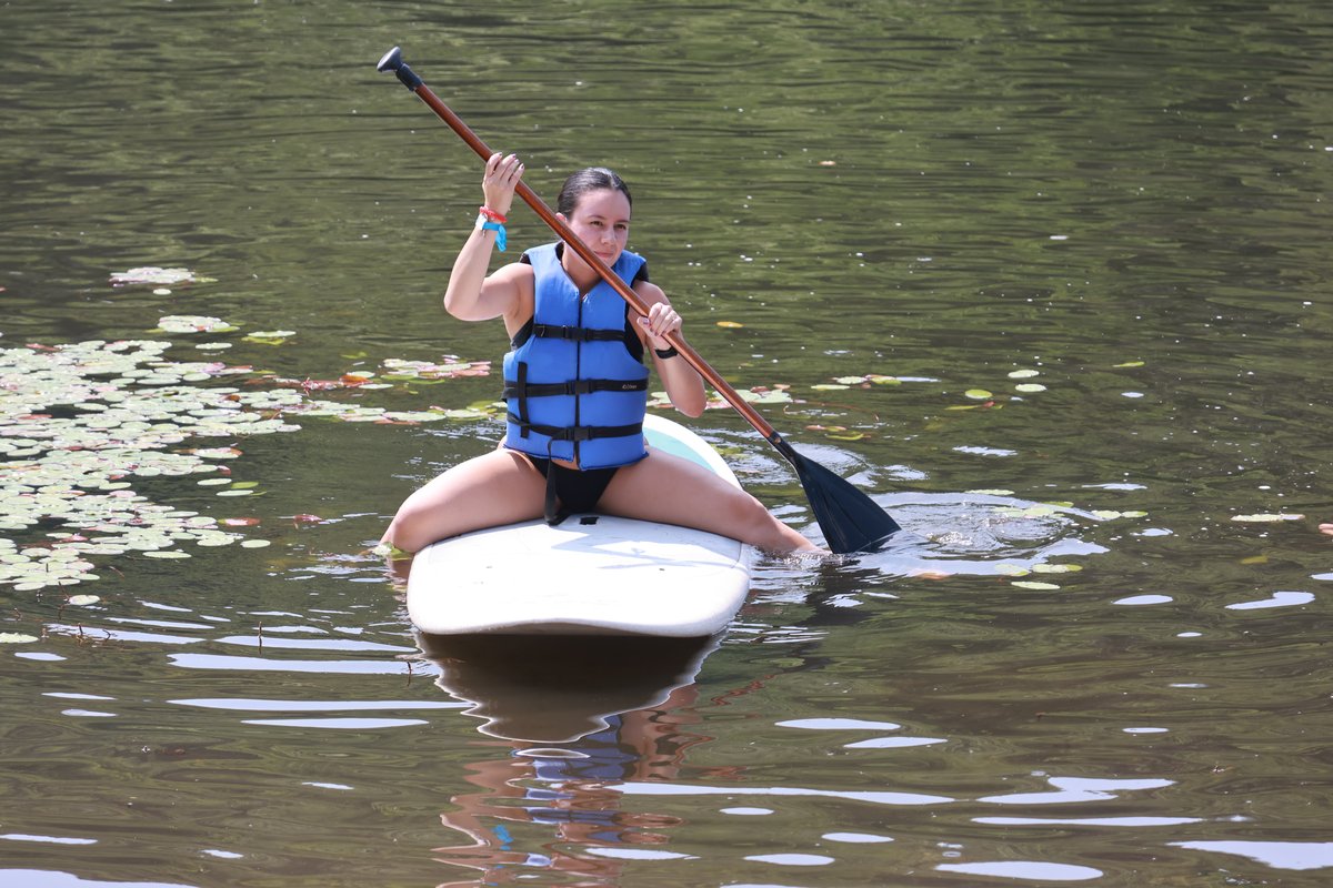 Paddle Board