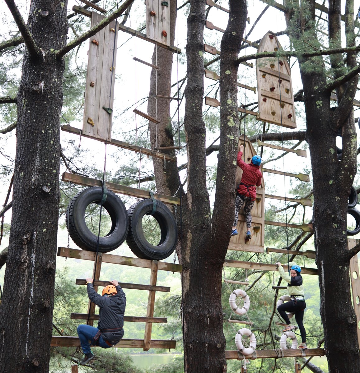 Pine Climb